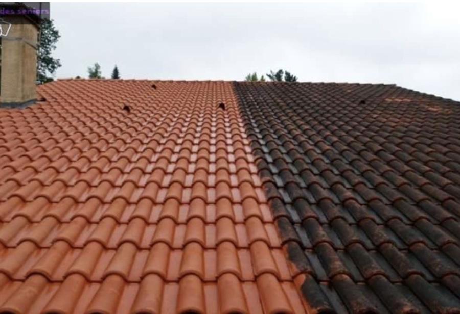 Nettoyage d'une toiture