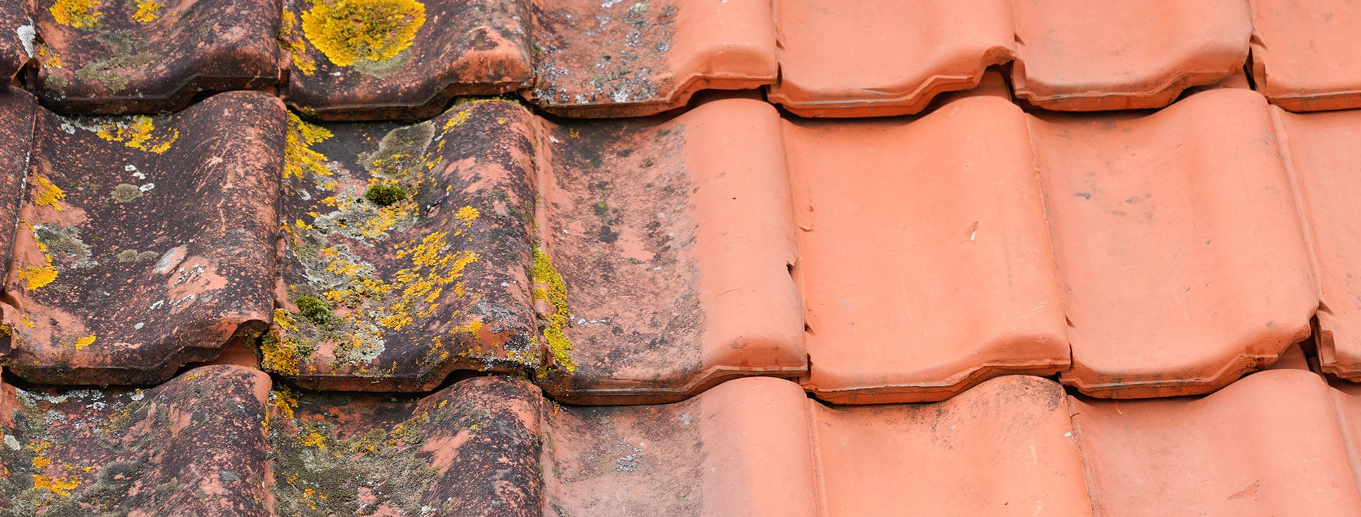 photo de tuiles avant et aprés nettoyage